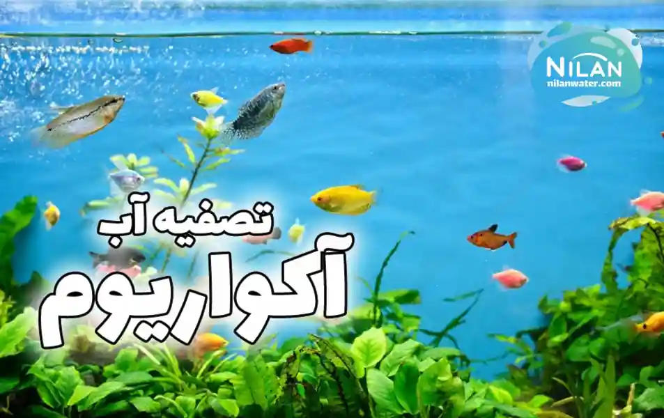 تصفیه آب آکواریوم