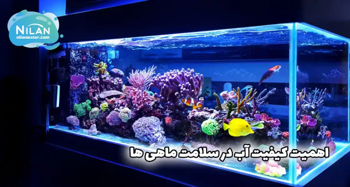 اهمیت کیفیت آب در سلامت ماهی
